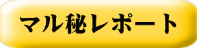 マル秘レポート