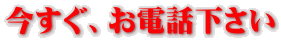 今すぐ、お電話下さい